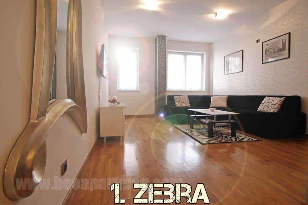 accommodation-for-seven-in-belgrade-zebra