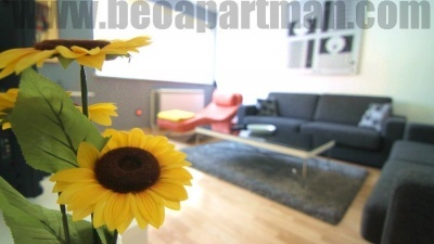 LOTOS apartman Beograd, suncokret u dnevnoj sobi