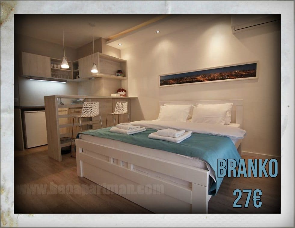 bedroom and kitcehn cheap overnight in Belgrade